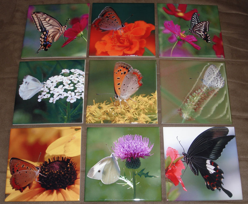 [butterfly art tiles collage]